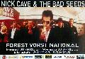 Alt 146 Nick Cave and the Bad Seeds, 68x98, 35euro.JPG